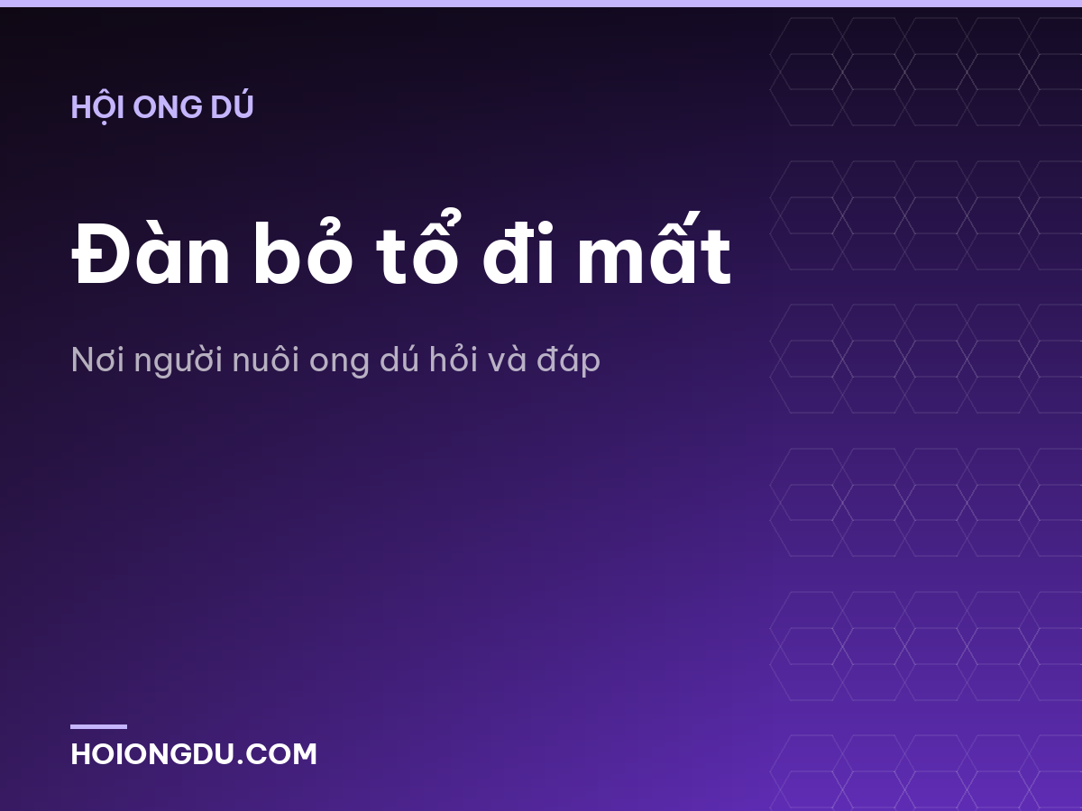 Đàn bỏ tổ đi mất