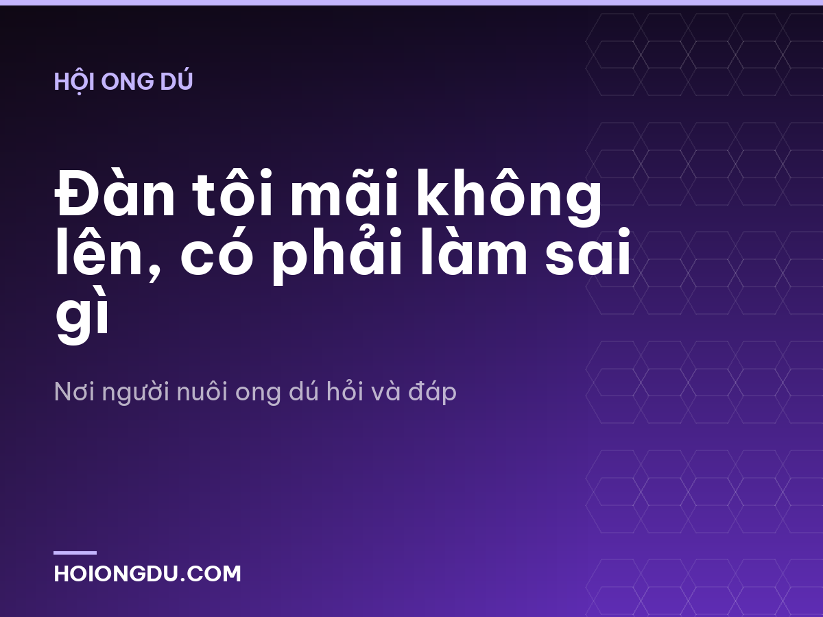 Đàn tôi mãi không lên, có phải làm sai gì