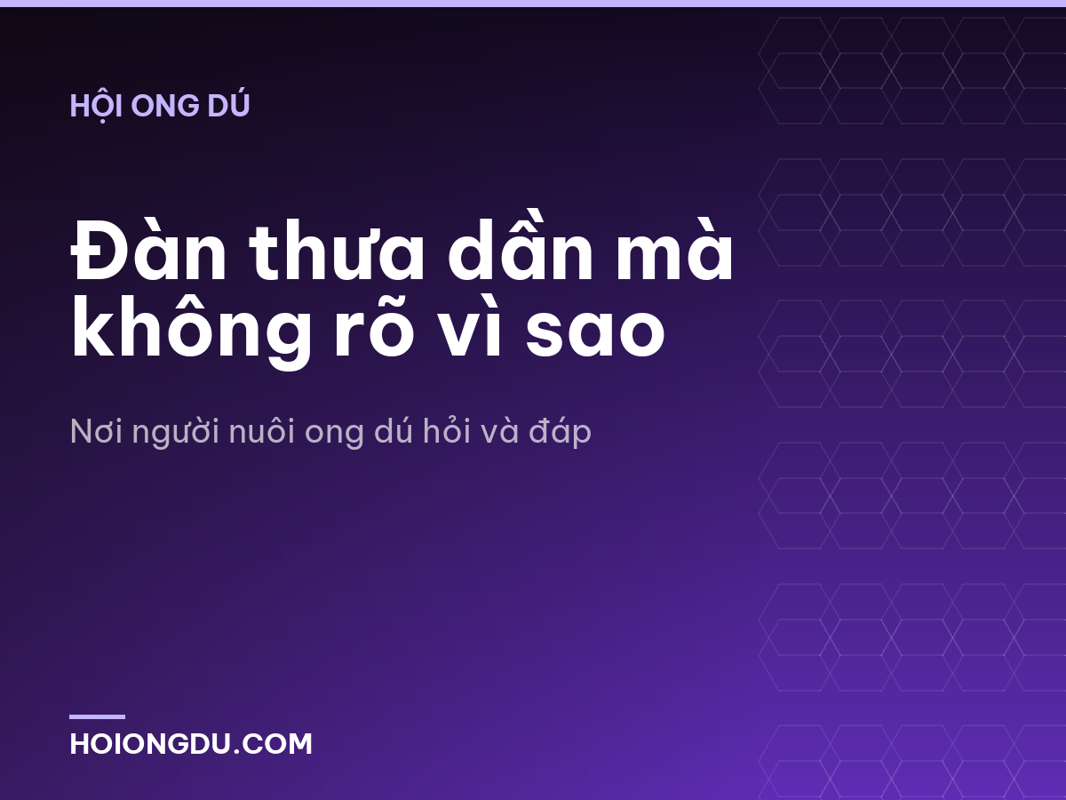 Đàn thưa dần mà không rõ vì sao