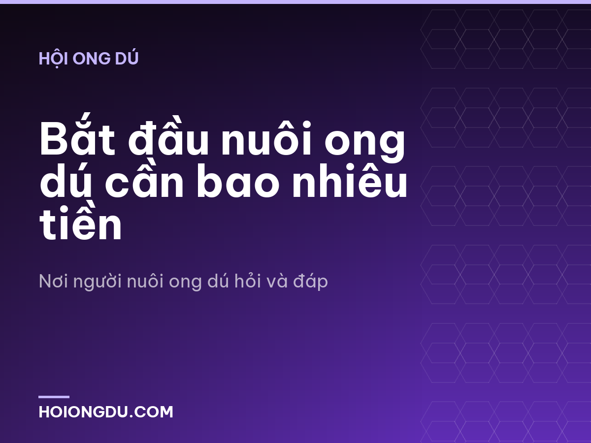 Bắt đầu nuôi ong dú cần bao nhiêu tiền