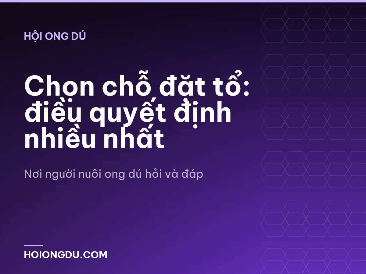 Chọn chỗ đặt tổ: điều quyết định nhiều nhất
