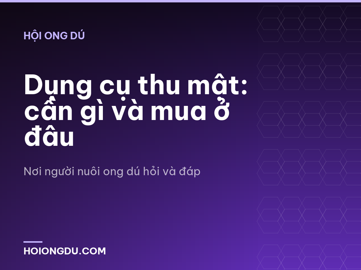 Dụng cụ thu mật: cần gì và mua ở đâu
