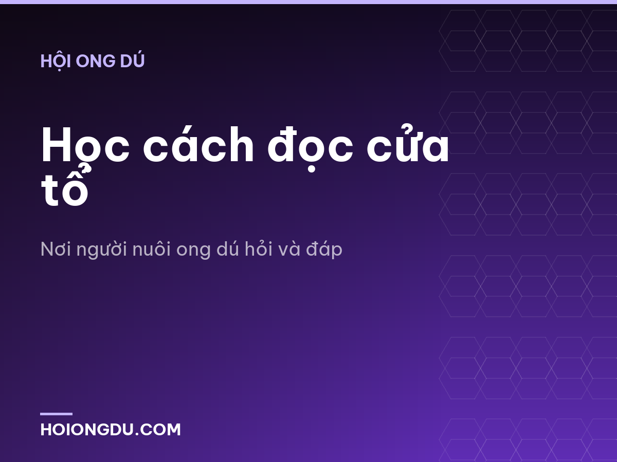 Học cách đọc cửa tổ