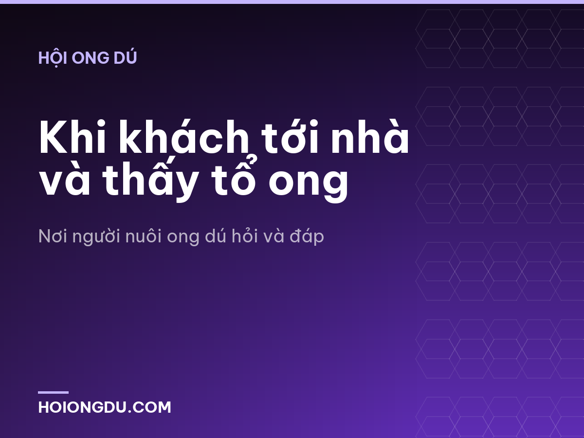 Khi khách tới nhà và thấy tổ ong