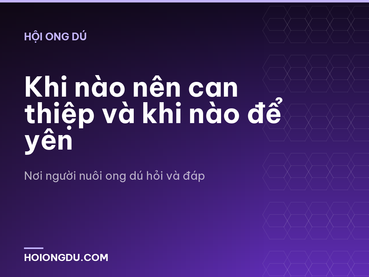 Khi nào nên can thiệp và khi nào để yên