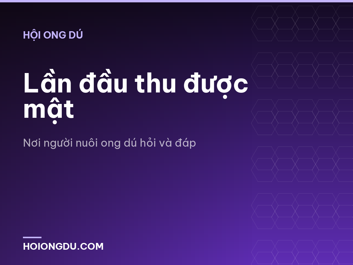 Lần đầu thu được mật