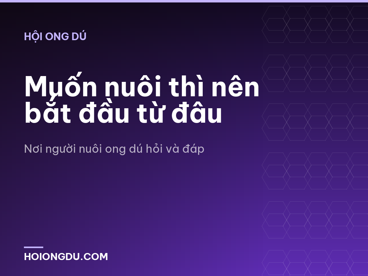 Muốn nuôi thì nên bắt đầu từ đâu