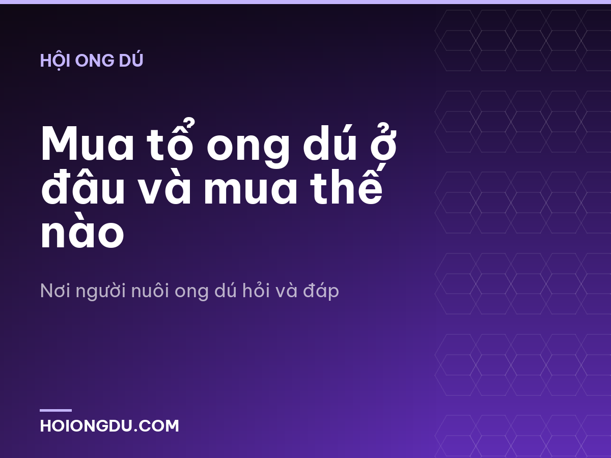 Mua tổ ong dú ở đâu và mua thế nào