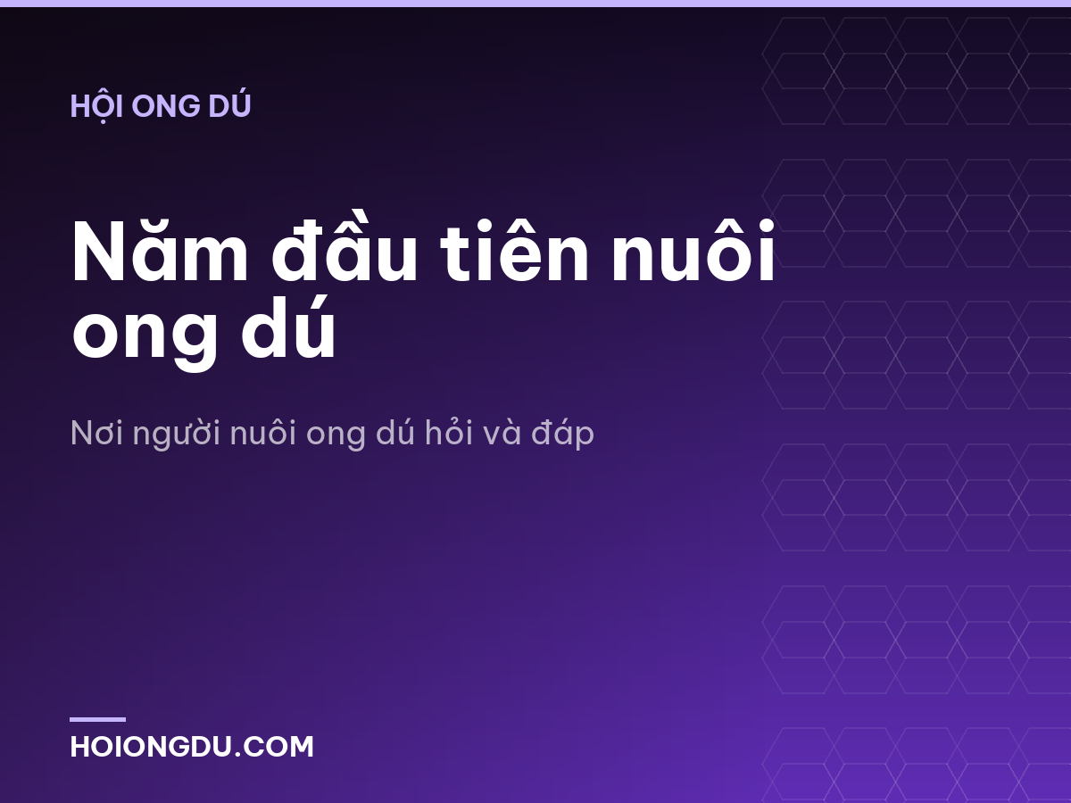 Năm đầu tiên nuôi ong dú