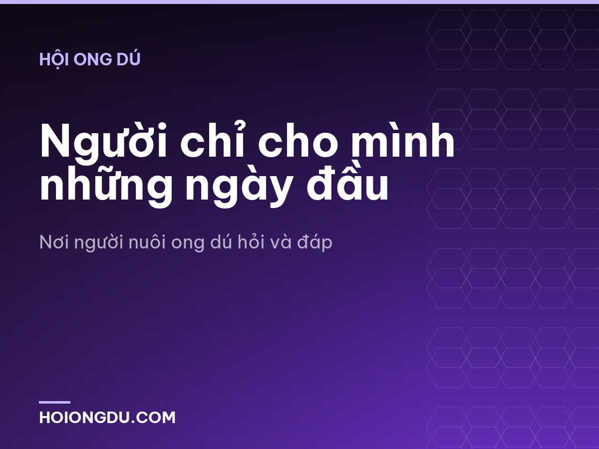 Người chỉ cho mình những ngày đầu