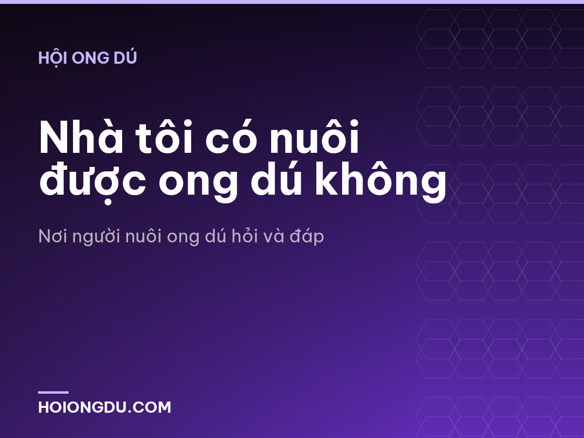 Nhà tôi có nuôi được ong dú không