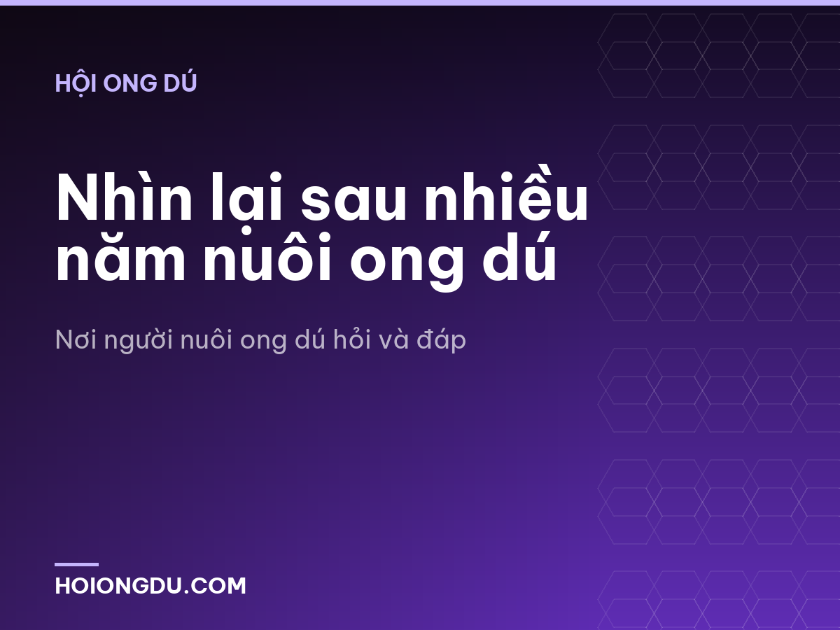 Nhìn lại sau nhiều năm nuôi ong dú
