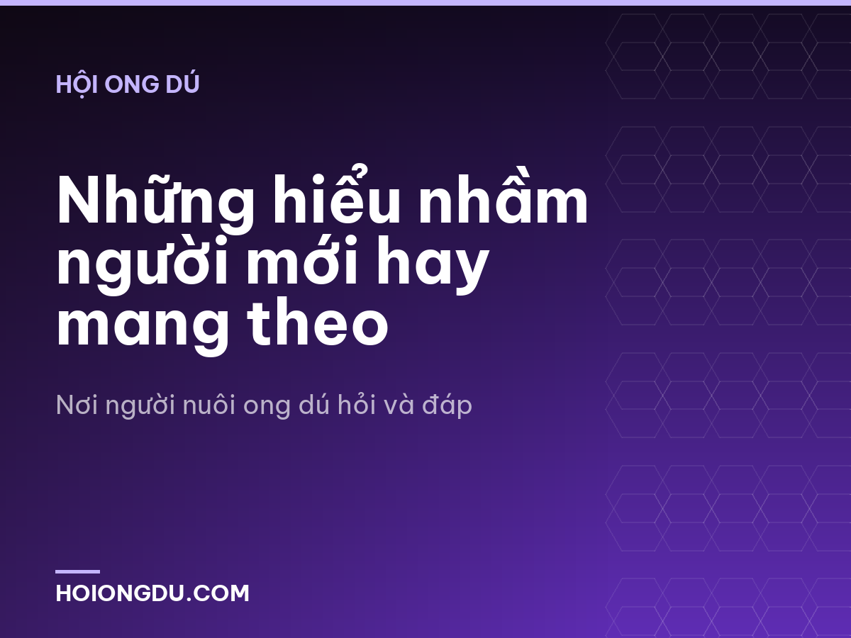 Những hiểu nhầm người mới hay mang theo