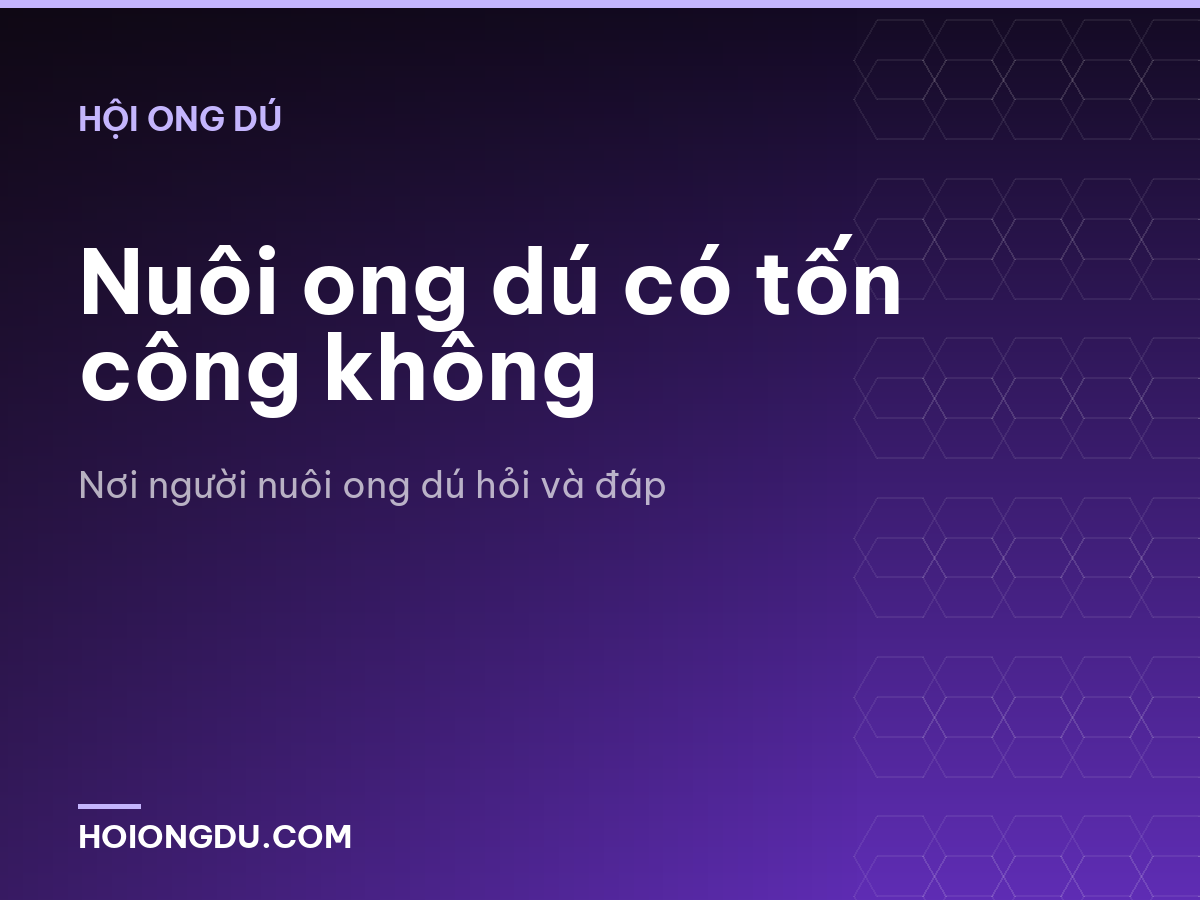 Nuôi ong dú có tốn công không
