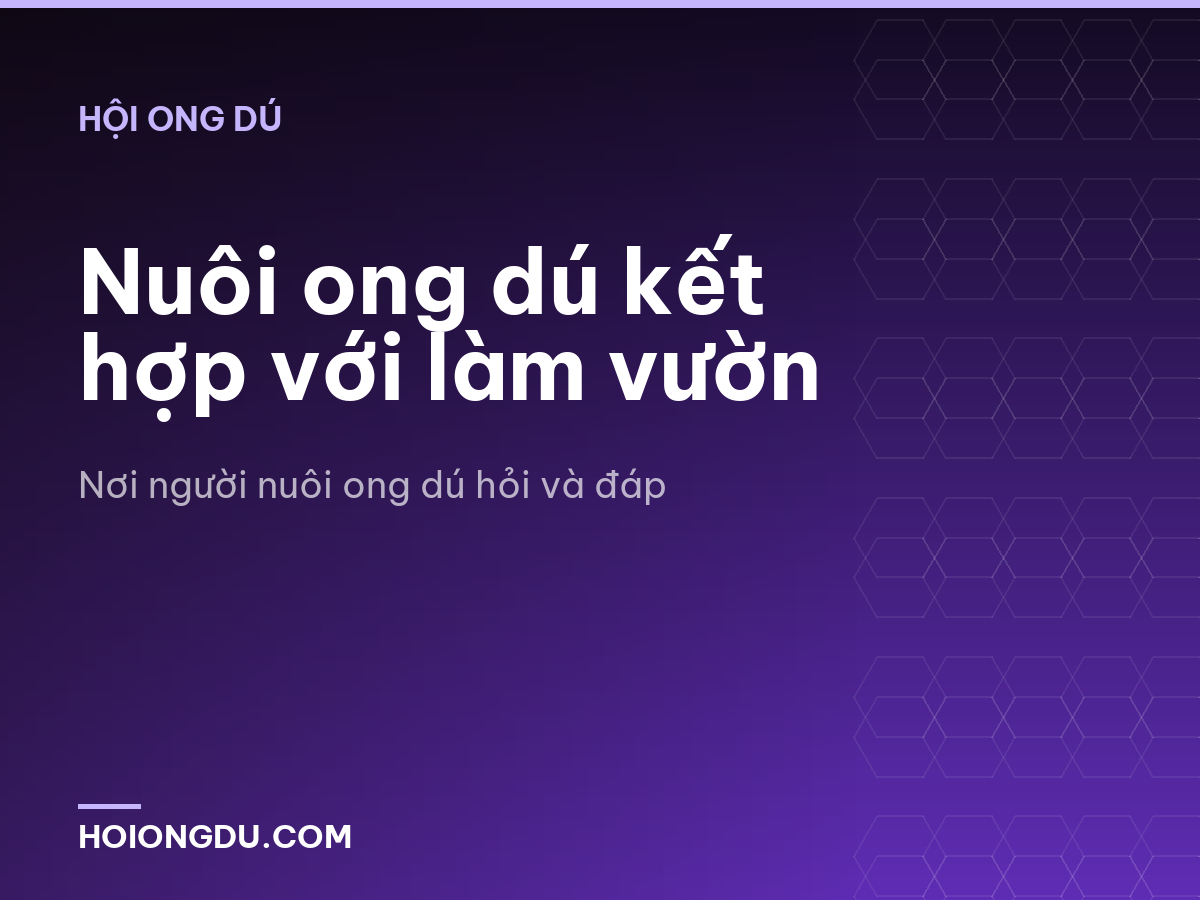 Nuôi ong dú kết hợp với làm vườn
