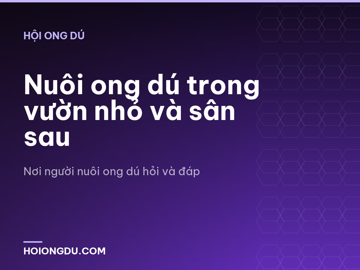 Nuôi ong dú trong vườn nhỏ và sân sau