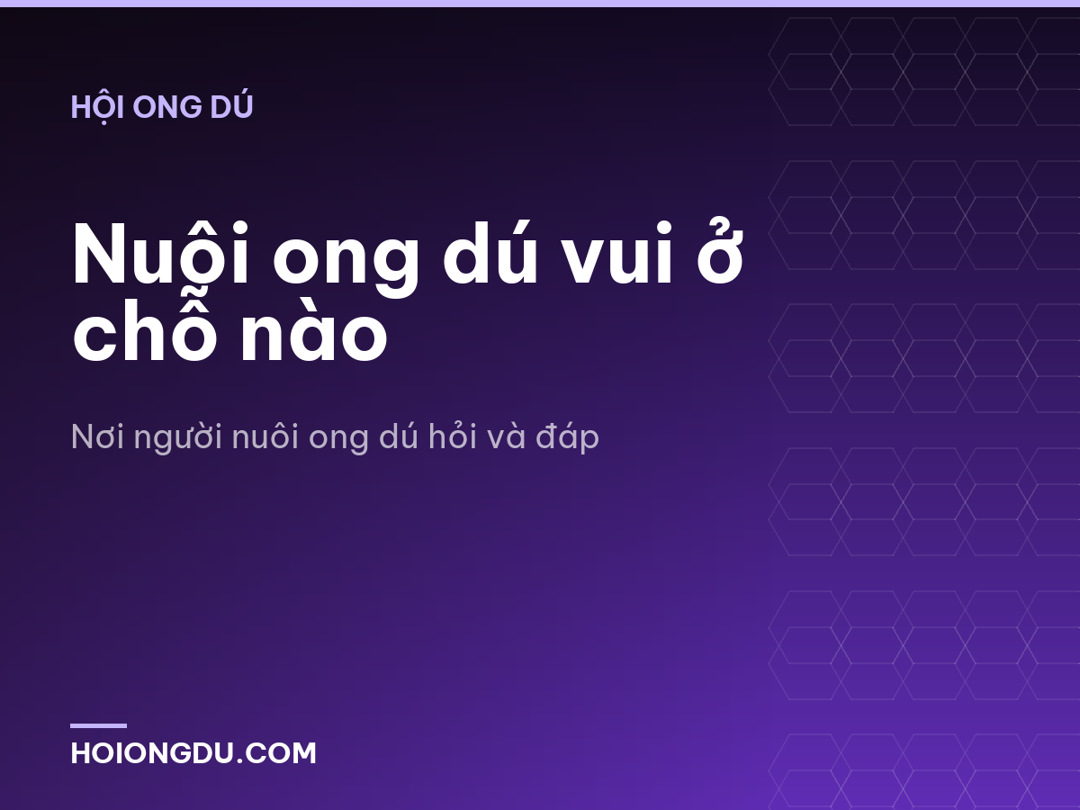 Nuôi ong dú vui ở chỗ nào