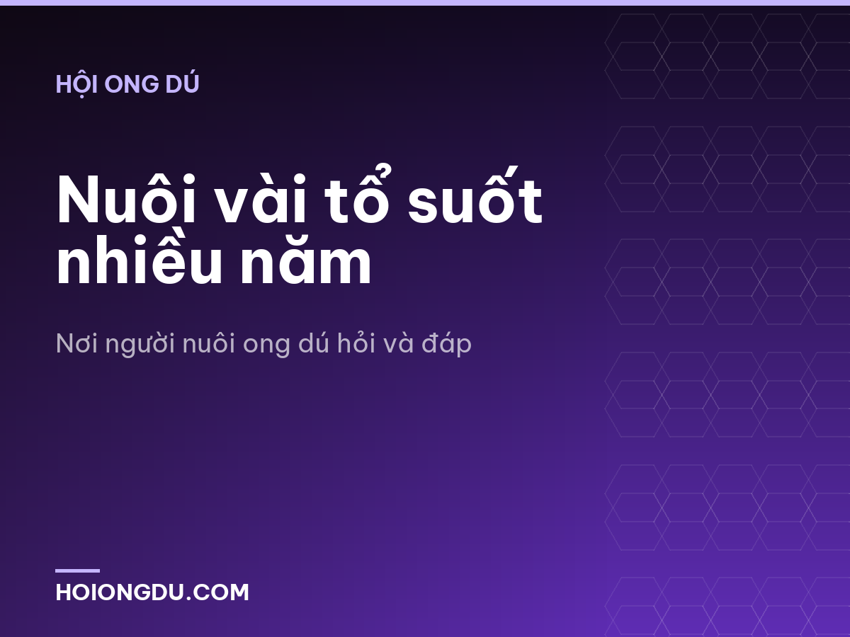 Nuôi vài tổ suốt nhiều năm