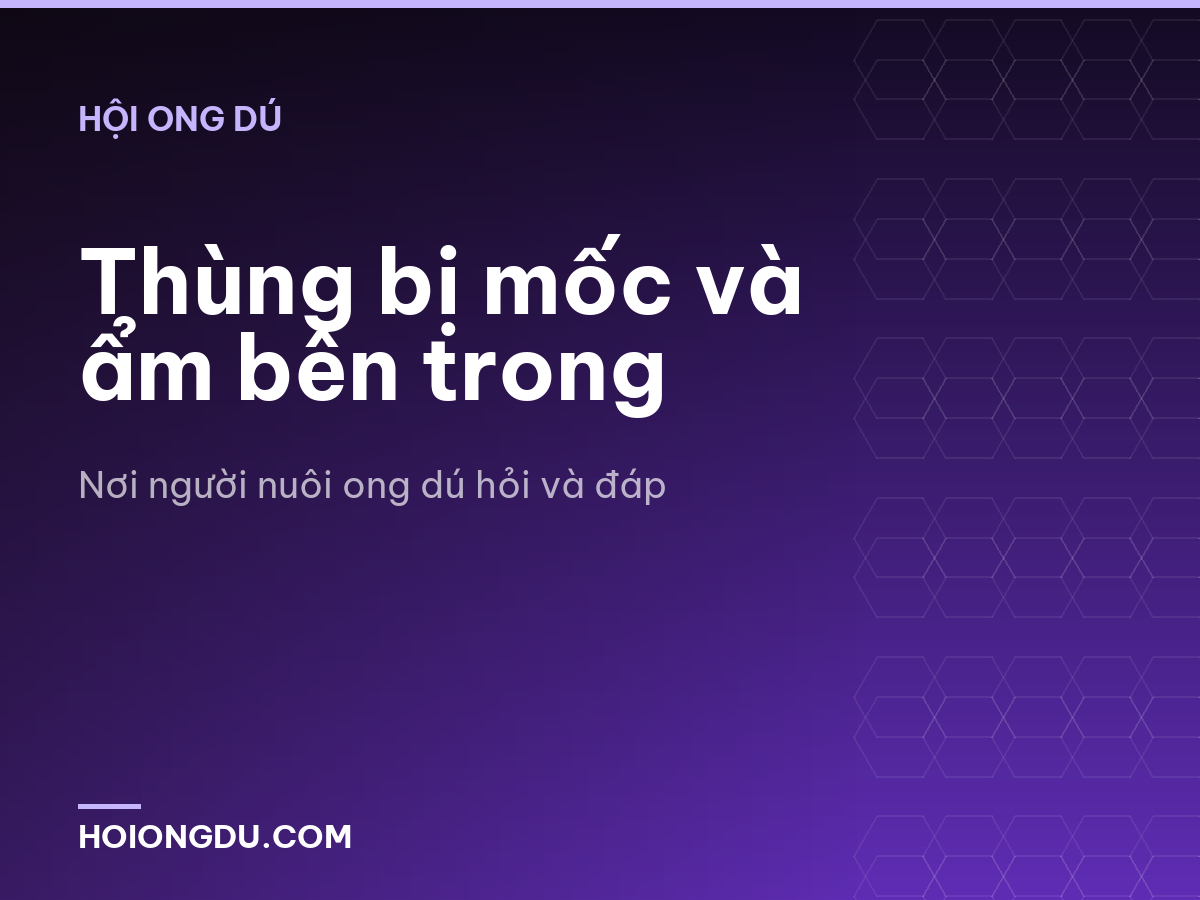 Thùng bị mốc và ẩm bên trong