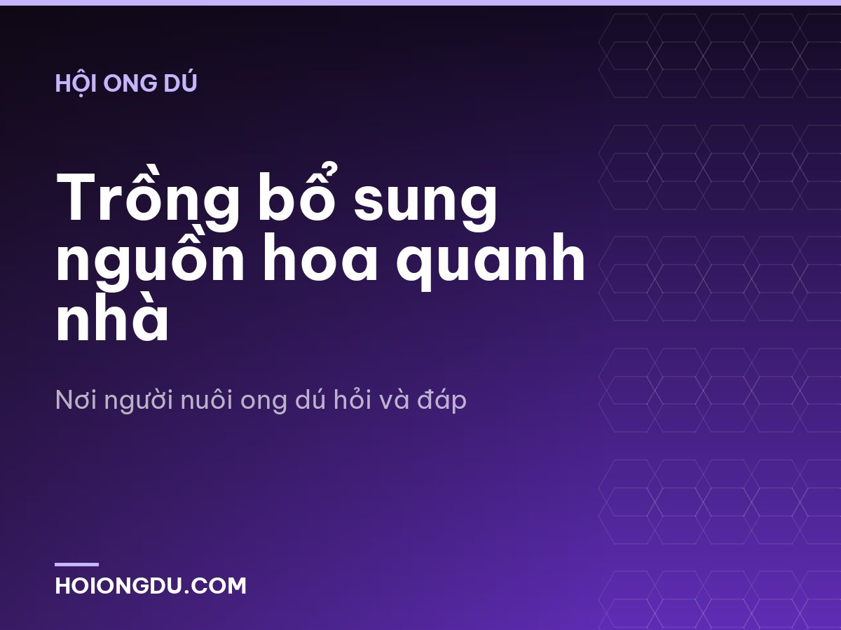 Trồng bổ sung nguồn hoa quanh nhà