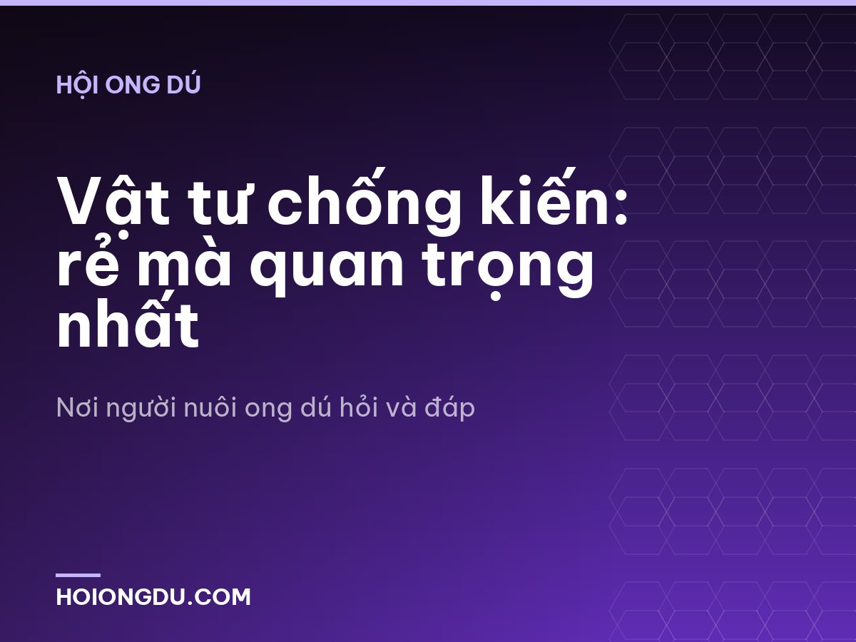 Vật tư chống kiến: rẻ mà quan trọng nhất