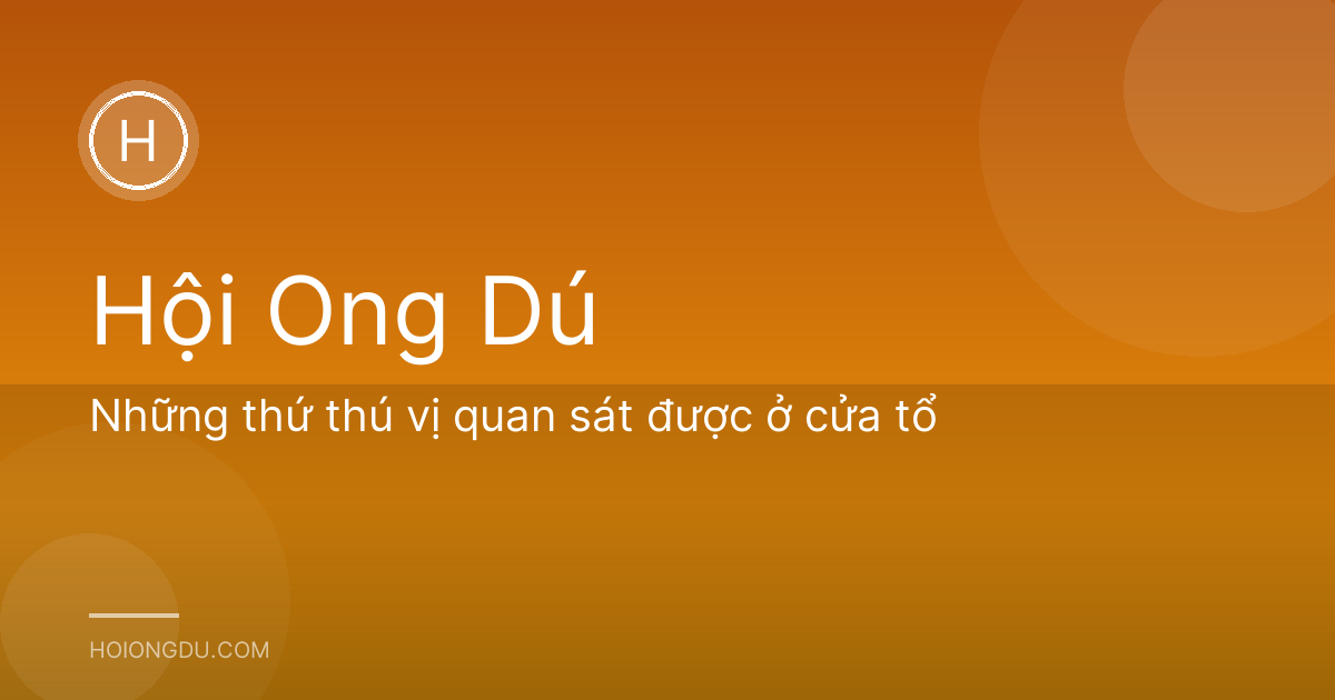 Những thứ thú vị quan sát được ở cửa tổ