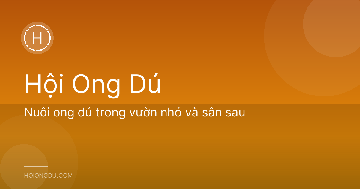 Nuôi ong dú trong vườn nhỏ và sân sau