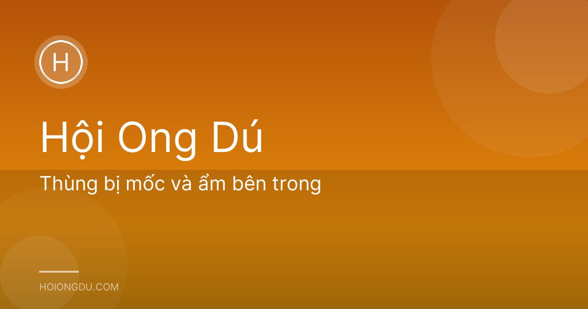 Thùng bị mốc và ẩm bên trong